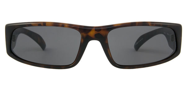 Immagine per la categoria CALIFORNIA