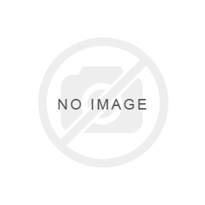 Picture of DINO
